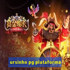 ursinho pg plataforma